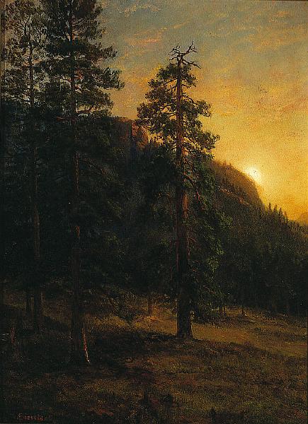 Albert Bierstadt California Redwoods Sweden oil painting art